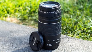 5 Reasons Why You SHOULD Consider The Canon 75300mm Lens [upl. by Odnumde]