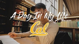 A Day In My Life at UC Berkeley [upl. by Greeley]