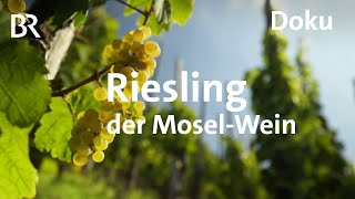 Deutscher Wein an der Mosel  eine RieslingReise  freizeit  Schmidt Max  BR  Doku [upl. by Atir936]