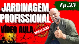 ☘️JARDINAGEM PROFISSIONAL  VÍDEO AULA [upl. by Lerak649]