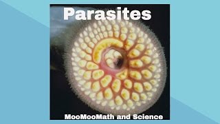 ParasitesSymbiotic Relationships [upl. by Analra]