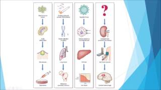 Pathology  Introduction and disease nomenclature [upl. by Judie]