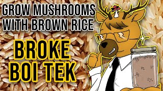 EASIEST Way to Grow Mushrooms  Broke Boi Tek [upl. by Aissat]