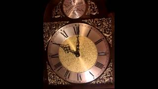 tempus fugit grandfather clock now running [upl. by Naitsirhk550]