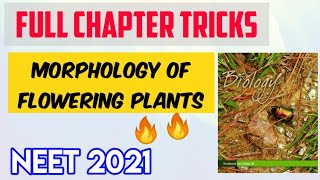 Plant Morphology Full Chapter Tricks  Neet Possible Tricks Series  Target Neet [upl. by Aihtenak343]