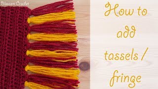 Absolute Beginner Crochet Series Ep 10 How to add tassels  fringe to your projects [upl. by Hertzfeld]