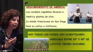 El aceite de oliva virgen extra y sus propiedades saludables [upl. by Tarrant921]