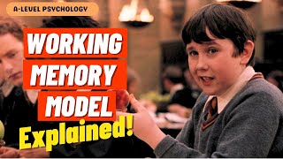 Working Memory Model EXPLAINED  AQA Psychology  Alevel [upl. by Peppi]