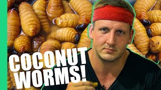 HOW TO EAT COCONUT WORMS Inspirational [upl. by Amerigo]