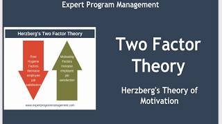 Two Factor Theory  Herzbergs Theory of Motivation [upl. by Mctyre]