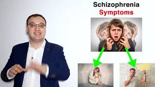 Schizophrenia  Diagnosis  DSM5 [upl. by Donnie]