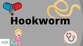 Hookworm Causes Signs and Symptoms Diagnosis and Treatment [upl. by Arlin769]