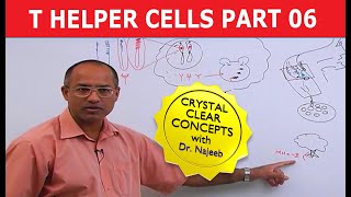 T Helper Cells  Immunology  Part 610 [upl. by Kristin]