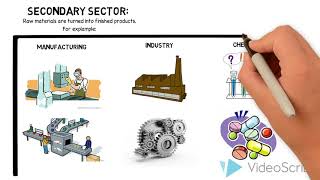 Economic Sectors [upl. by Sirama]