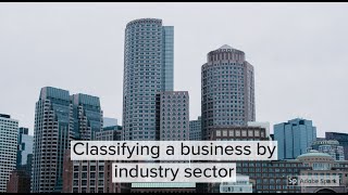 Industry Sectors explained  Classifying businesses based on industry sectors [upl. by Rambow]