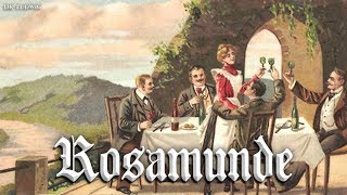 Rosamunde German version of Bohemian folk songEnglish translation [upl. by Salita]