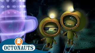 Octonauts  The Siphonophore  Full Episodes  Cartoons for Kids  Underwater Sea Education [upl. by Lotson]