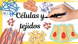 CÉLULAS y TEJIDOS [upl. by Radnaskela406]