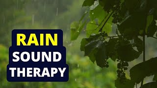 Tinnitus Sound Therapy  Rain Water [upl. by Aernda]