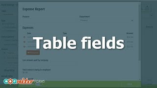 Working with Table Fields  Cognito Forms [upl. by Watkins362]