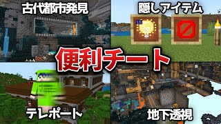 【マイクラ】超便利なコマンド４選【統合版 JAVA版 Switch】 [upl. by Nibuz]