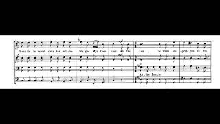 Robert Schumann  Die Minnesänger Op 33 [upl. by Franchot]