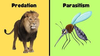 Difference between Predation and Parasitism [upl. by Enoed526]