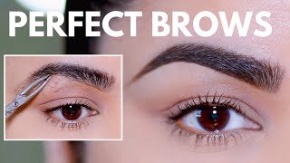 HOW TO GROOM SHAPE amp MAINTAIN EYEBROWS AT HOME BEGINNER FRIENDLY [upl. by Jehial355]