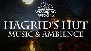 Harry Potter Music amp Ambience  Hagrids Hut [upl. by Nohsauq17]