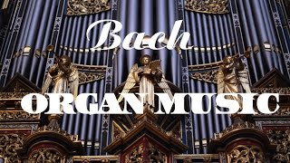 Bach  The Best Organ Music [upl. by Saiff]