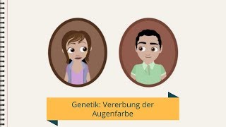 Genetik Vererbung der Augenfarbe [upl. by Auos]