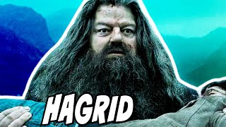 What Happened to Hagrid after the Deathly Hallows  Harry Potter Explained [upl. by Odradlig484]