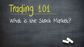 Trading 101 What is the Stock Market [upl. by Ardnoek900]