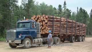 The Forestry Industry in Atlantic Canada [upl. by Tommi452]