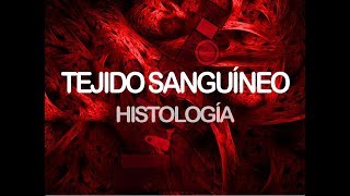 Tejido sanguíneo  Histología [upl. by Naujej767]