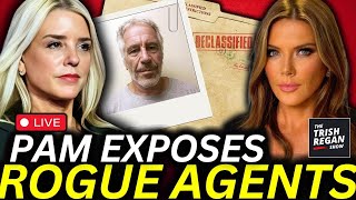 BOMBSHELL New Epstein Info May IMPLICATE US Intel in Criminal Black Ops [upl. by Dietrich]