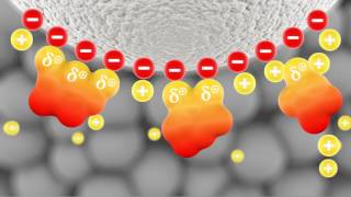 Introduction to Ionexchange chromatography [upl. by Jarlen]