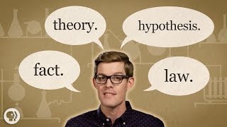 Fact vs Theory vs Hypothesis vs Law… EXPLAINED [upl. by Dorree14]