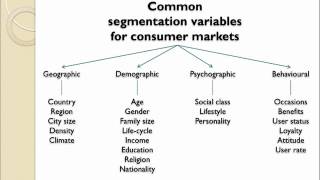 Market Segmentation Introduction [upl. by Hadeis205]