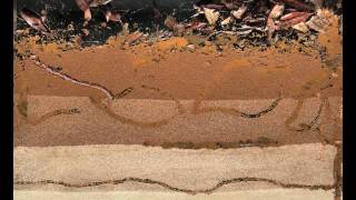 Bioturbation  Worms at Work [upl. by Olds941]