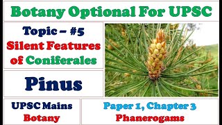 Silent features of Coniferales Pinus Structure and Reproduction Phanerogams UPSC Botany Videos [upl. by Leehar]