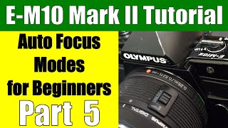 Olympus OMD EM10 II Autofocus Modes for Beginners Part 5 [upl. by Livy184]