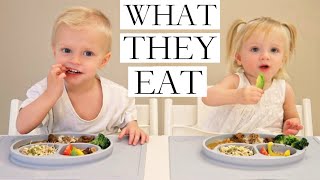 What Our VEGANPLANTBASED Children Eat PART 12 [upl. by Ecnerwaled]