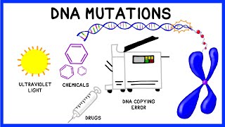 DNA Mutations [upl. by Hardwick]