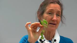 Barbara ONeill  Part 11 Herbs [upl. by Barnet]