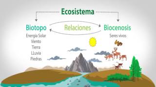 EL BIOTOPO Y LA BIOCENOSIS [upl. by Oicangi]