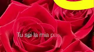 Cantonuovo Music  Tu Sei La Mia Vita lyrics video [upl. by Peatroy]