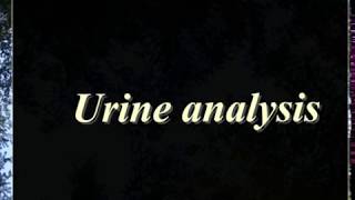 Urine Examination part 1 [upl. by Hedva]