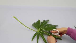 Ikebana Tips by Junko 14 modifying leaves [upl. by Vigen]