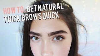 How To Grow Eyebrows FAST Thick amp Natural [upl. by Fishback]